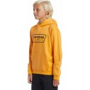 Sudadera Quiksilver Graphic Youth Hoodie Orange
