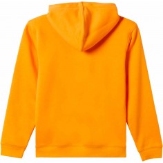 Suéter Quiksilver Graphic Youth Hoodie Orange 2