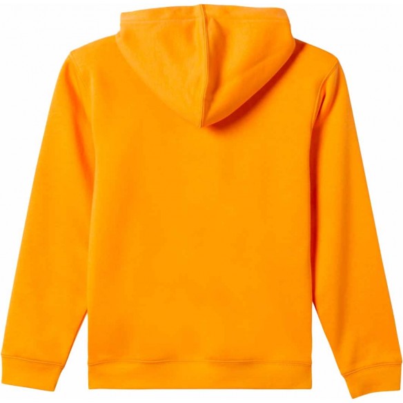 Sweatshirt Quiksilver Graphic Youth Hoodie Orange