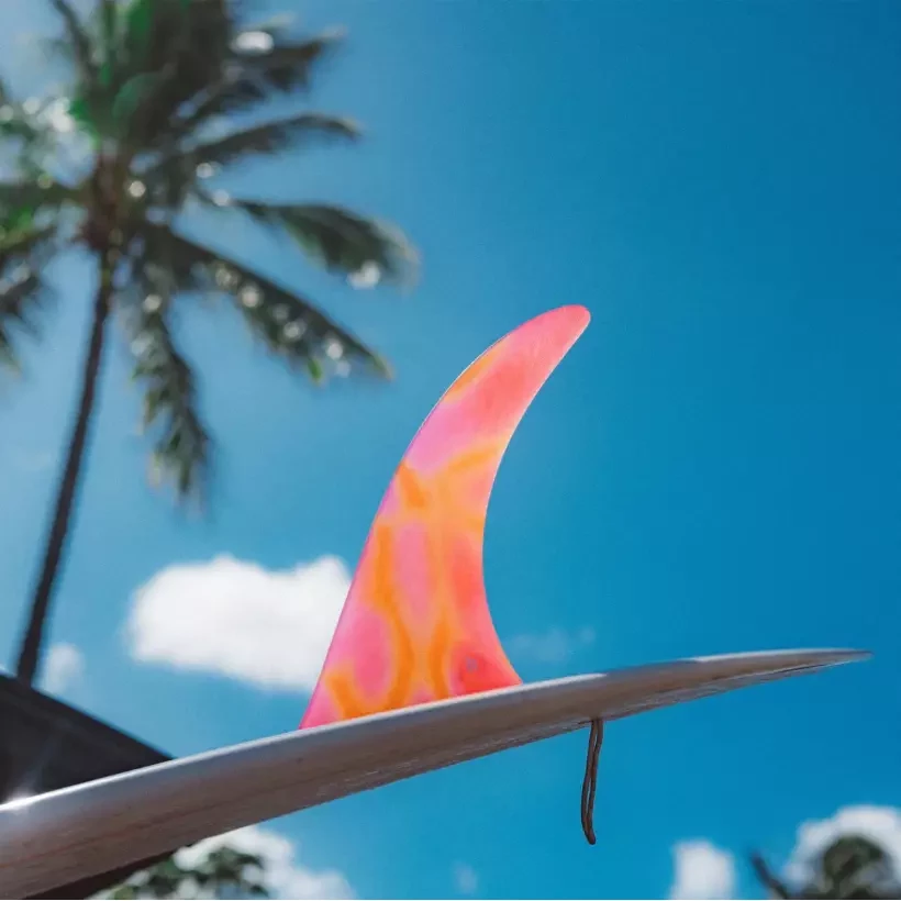 Dérive longboard FCSII KELIA MONIZ PG Sunset Glass