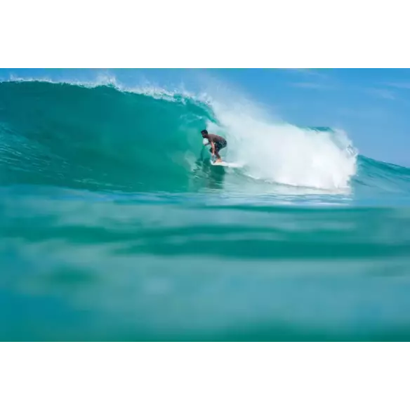 Planche de surf NSP fish Elements Green