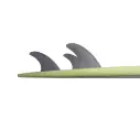 Planche de surf NSP fish Elements Green