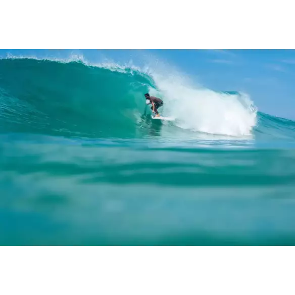 NSP funboard Protech Ocean Tint