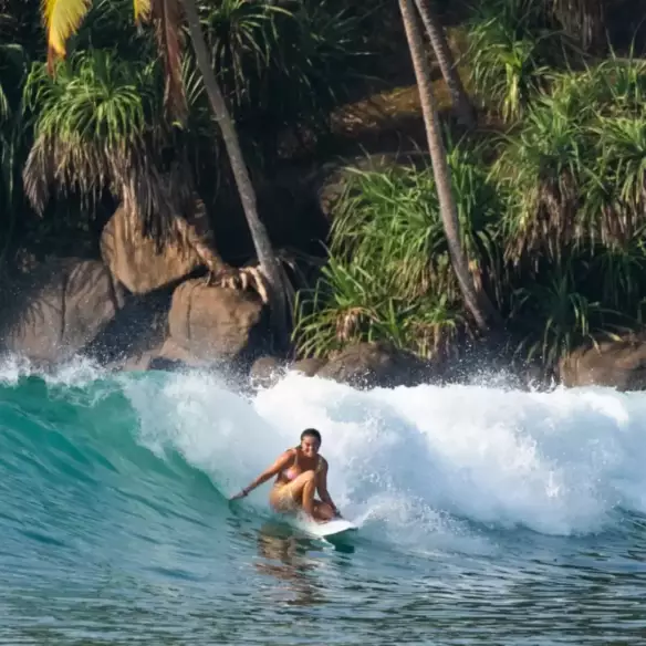 Prancha de surf NSP Double Vision Blue Powder