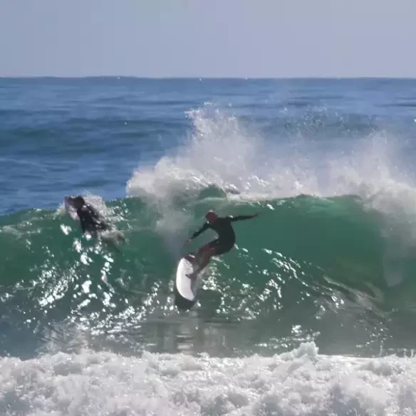 Tabla de surf Firewire Taylor Jensen Pro Mid