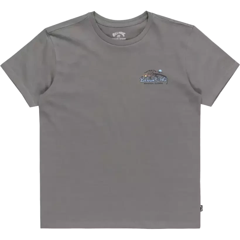 Camiseta Billabong Lizard Mountain Slate Grey