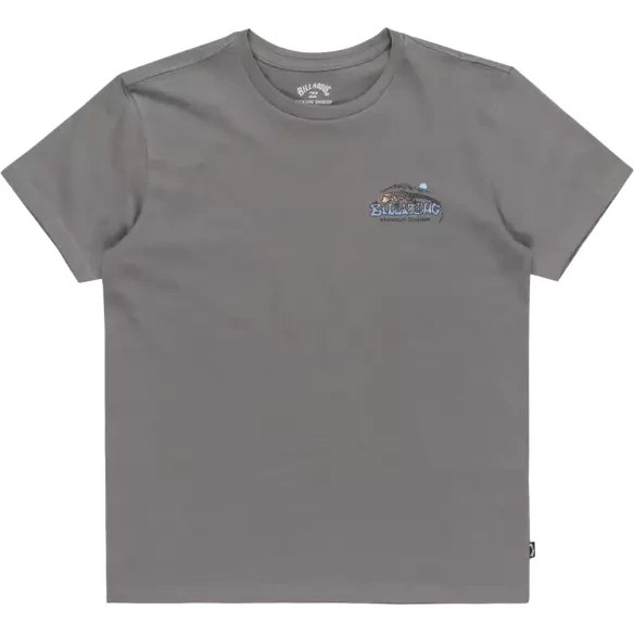 Shirt Billabong Lizard Mountain Slate Grey