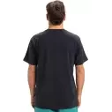 Tee Shirt quiksilver Salt Water Black