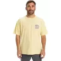 Tee Shirt quiksilver World Force Popcorn