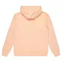 Felpa  Quiksilver Comp Logo Peach Parfait