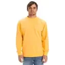 Suéter Quiksilver Salt Water Crew Chamois