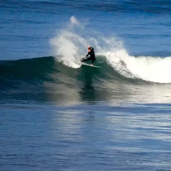 Prancha de surf Firewire Dominator Pro