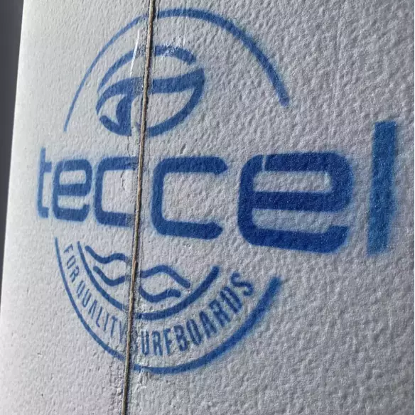 Foam Teccel Fish