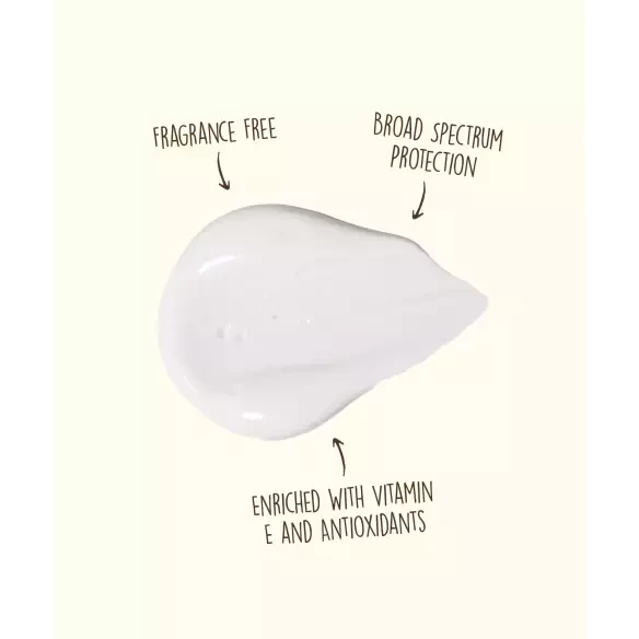 Crème solaire visage Sun Bum Original SPF 50