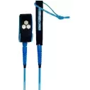 Channel Island Hex Everyday Royal Leash