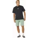 Short Rip Curl Boardwalk Jackson 20" Aloe