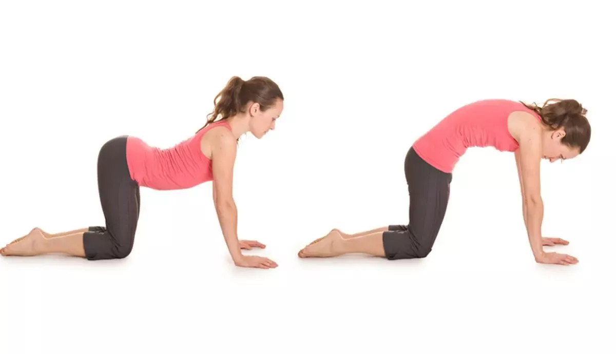 Mujer realizando una postura de gato-vaca en yoga, de rodillas y manos apoyadas, con camiseta rosa y pantalón oscuro.