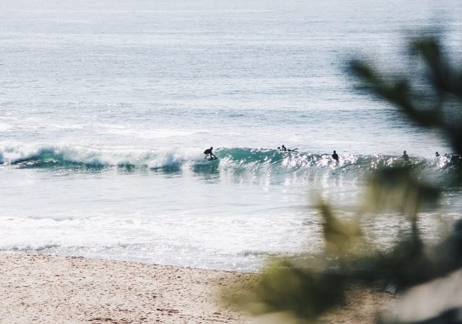 Surfisti in mare con onde snelle, vista da riva sabbiosa.