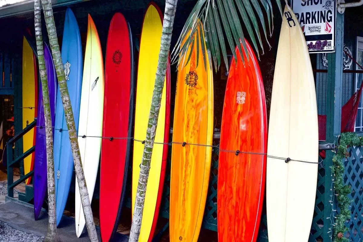 Guía de tipos de tablas de surf y para qué sirven
